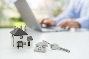 Searching the internet for real estate or new house